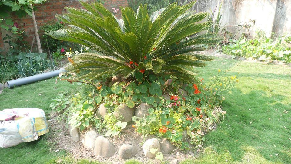 Nagarjun Home Stay Kathmandu Bagian luar foto